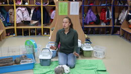 IMG 0747