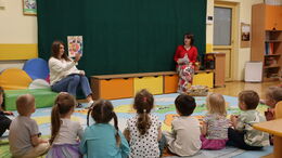IMG 0242